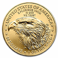 (Random year) 1/2 Oz gold Eagle United States  Back